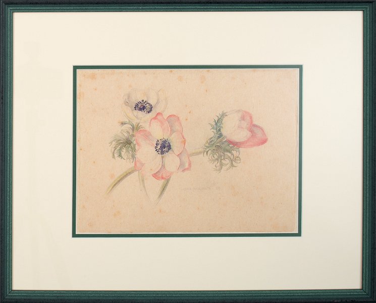 24_1938_mohn