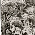 58_1962_mein_garten